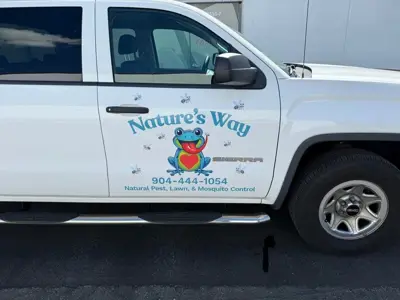 Custom Van Graphics Photo